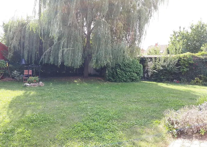 Kertvarosi * Tiszaújváros