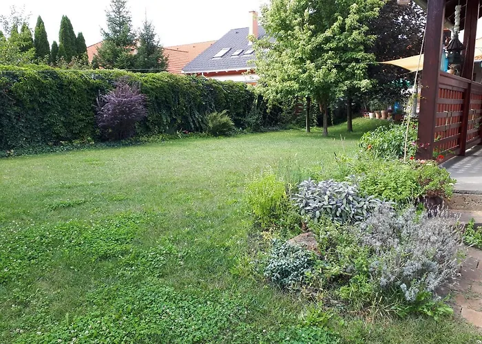 Kertvarosi * Tiszaújváros
